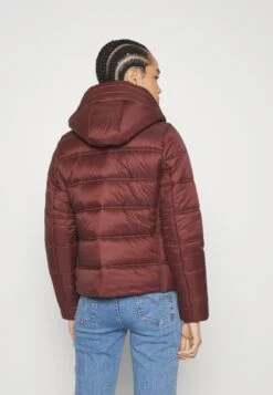 Marc O'Polo Jacket Padded Double Stitching Fixed Hood Pockets Drawstring Hood - Winterjas - Crimson Brown -Marc O'Polo 083bac0d81e84f3cb84a30da99596b33